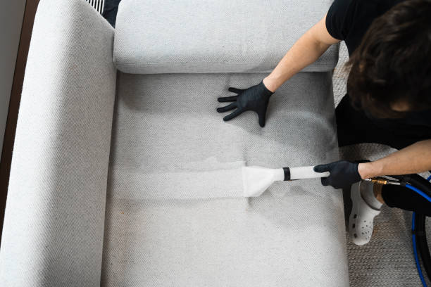 Upholstery Cleaning